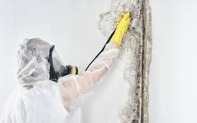 Best Mold Removal for HVAC Installations in Bartonsville, MD